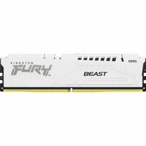 Kingston KF552C36BWE-16 | FURY Beast 16GB DDR5 SDRAM Memory Module
