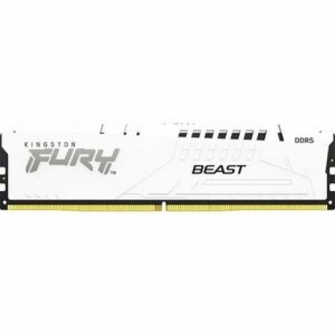 Kingston KF556C36BWE-16 | FURY Beast 16GB DDR5 SDRAM Memory Module