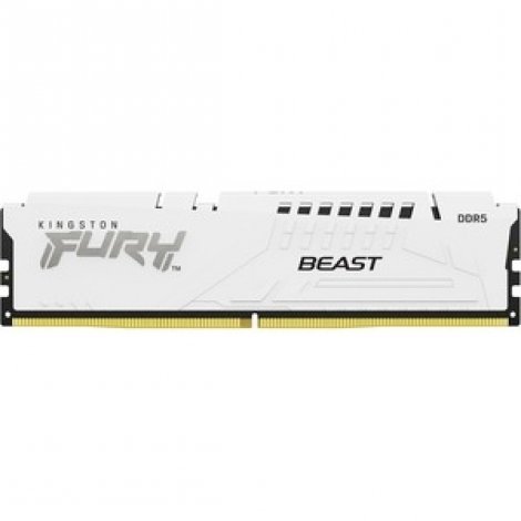 Kingston KF556C36BWE-32 | Fury Beast EXPO White 32GB DDR5-5600Mhz PC5-44800 Non-ECC Unbuffered CL40 DIMM 1.25V Memory Module