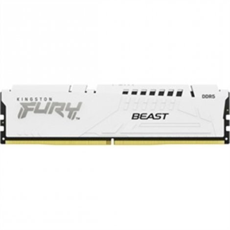 Kingston KF556C36BWEK2-32 | FURY Beast 32GB (2 x 16GB) DDR5 SDRAM Memory Module