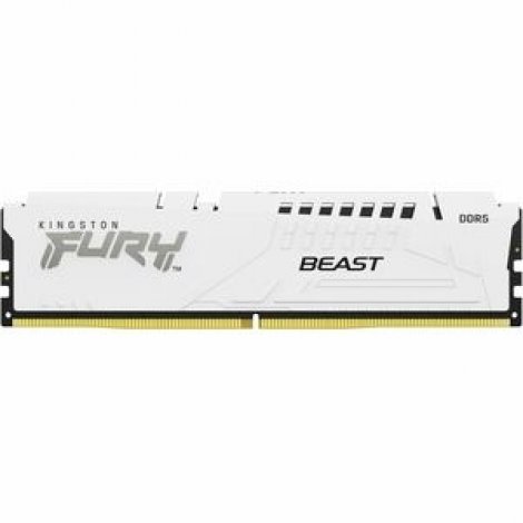 Kingston KF560C40BW-16 | FURY Beast 16GB DDR5 SDRAM Memory Module