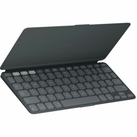 Logitech 920-012866 | Keys-To-Go 2 Portable Wireless iPad Keyboard With Built-in Cover Slim and Compact Wireless Keyboard Graphite