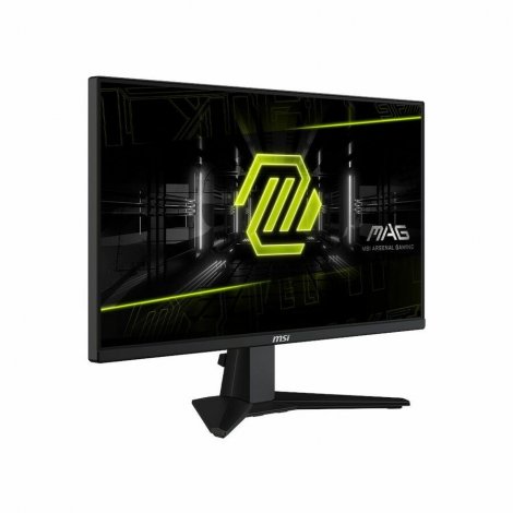 MSI MAG255XF | 25-Inch Class Full HD Gaming LCD Monitor Metallic Black