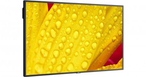 Sharp M501-2 | 50-inch 3840 x 2160 HDR Commercial VA Monitor