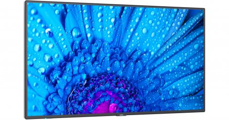 Sharp M551-2 | 55-inch 3840 x 2160 HDR Commercial VA Monitor