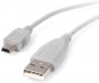 Startech USB2HABM10 | 10-ft USB A to Mini B Cable
